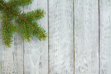 spruce branches on wooden grey background with space for text