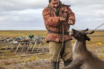 The extreme north, Yamal, the preparation of deer meat, the male reindeer breeder eats fresh meat,...