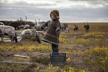 A resident of the tundra, indigenous residents of the Far North, tundra, open area, children ride...