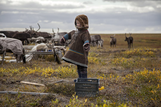 A resident of the tundra, indigenous residents of the Far North, tundra, open area, children ride on sledges, children  in national clothes
