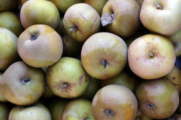 Pommes Canada. / Apples. Canada.