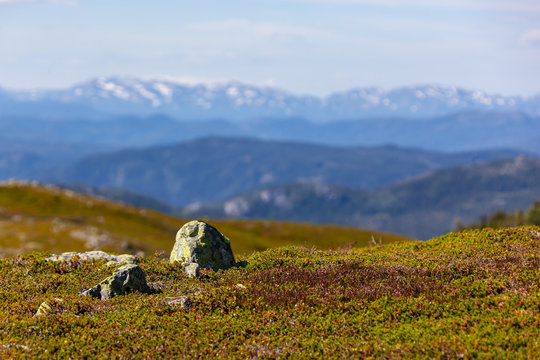 Lifjell Images – Browse 58 Stock Photos, Vectors, and Video | Adobe Stock