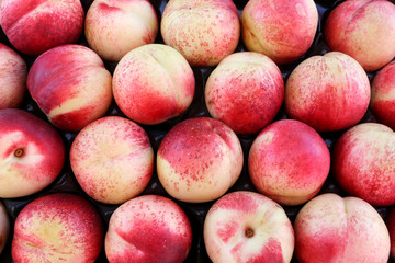 Nectarines. / Peaches.