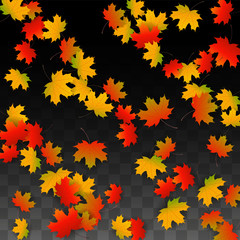 September Vector Background with Golden Falling Leaves. Autumn Illustration with Maple Red, Orange, Yellow Foliage. Isolated Leaf on Transparent Background. Bright Swirl. Suitable for Posters.