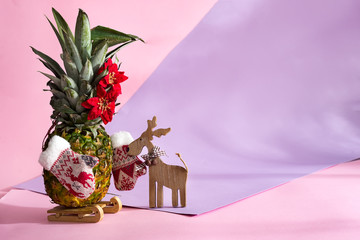 pineapple christmas tree with winter mittens and Christmas flowers on green leaves on duotone...