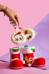 Santa's boot with candy marshmallow on a stick with a smile on the duotone background