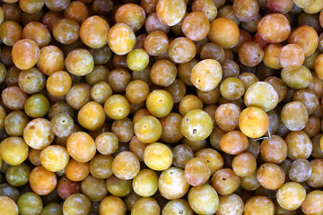 Prunes mirabelles. / Mirabelle plums.