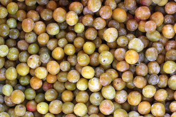 Prunes mirabelles. / Mirabelle plums.