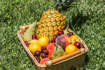 Large basket of fruit on green grass