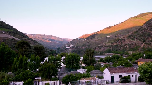 vineyard hills in the river Douro valley, Portugal