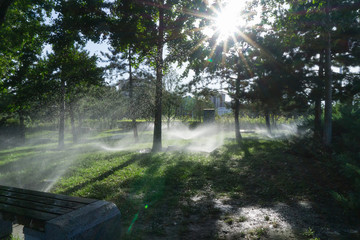 Park with sprinkler systems and suun light - 223359540