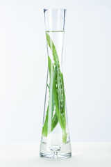 transparent vase of natural herbal essential oil with green aloe vera on white surface