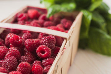 Close-up of a ripe juicy berry raspberry in a wicker basket against a background of green basil leaves - selective focus