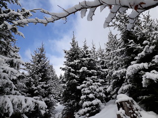 winter wonderland austria