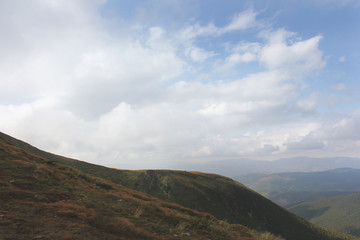 String art. Handmade boards