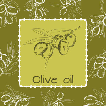 branch green olives, vector illustration hand-drawn logo of olives