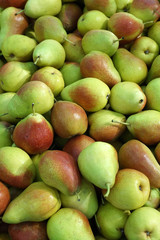 background of many red-green pears
