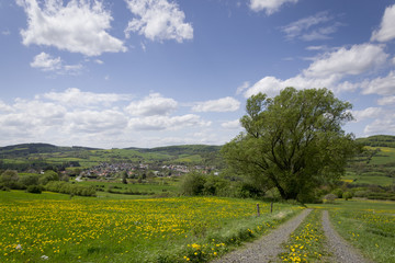 Blick auf Laudenbach im Frühling