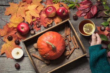 Hot cup of tea in hand with decor of pumpkins, apples and autumn leaves on wooden board. Top view.