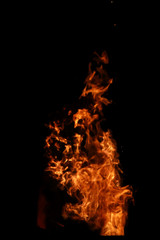 Tongues of flame of fire of orange-yellow color from burning fir