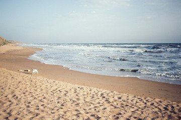 view of the sea, coastline, summer landscape