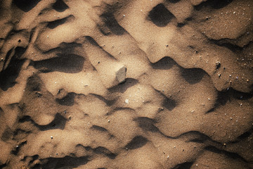 close up of sand pattern with seashells of a beach in the summer