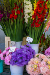 Asters and different other flowers on city central market in autumn
