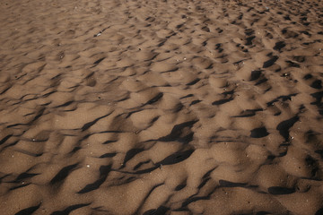 close up of sand pattern with seashells of a beach in the summer