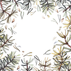 Pine forest frame, watercolor illustration. Pine branches composition.