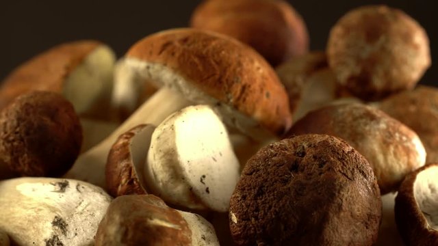 Forest mushrooms. Cepes. Natural product. Delicacy Rotation 4K