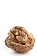 large walnuts on white background