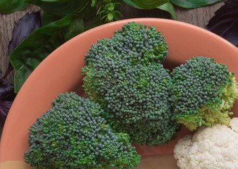 Pieces of fresh broccoli on orange plate