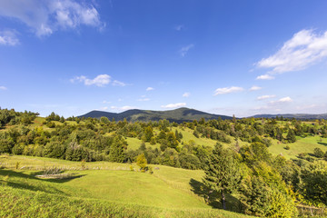 Fototapeta na wymiar Hills and trees in Romania
