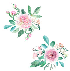 Watercolor Hand Drawn Peonies, Roses, Anemonies, Freesia and Eucalyptus Bouquet Set