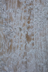 Holzbalken mit Struktur und Salzablagerung