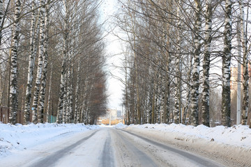 Winter landscape snow covered expanses. A park in the winter in