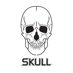 Human skull in dark for tattoo Black and white skate