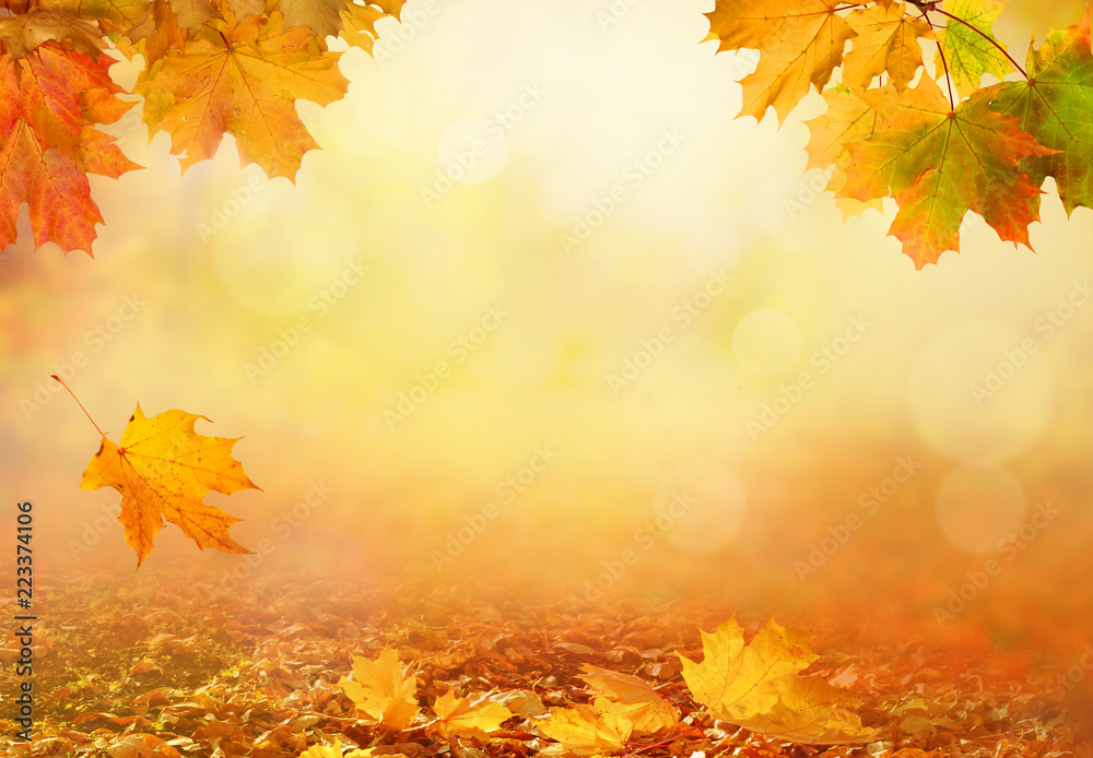 Poster Beautiful autumn landscape with yellow trees,green and sun. Colorful foliage in the park. Falling leaves natural background