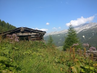 Hut in the mountains in Bavaria Austria Tyrol Germany