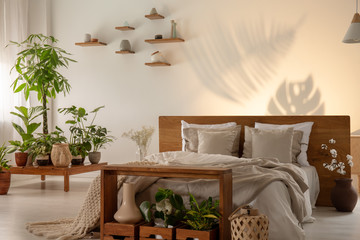 Pillows on wooden bed in modern bedroom with plants and shadows on the wall. Real photo