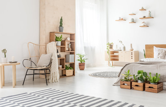 Armchair next to wooden table and carpet in bedroom interior with plants in front of bed. Real photo