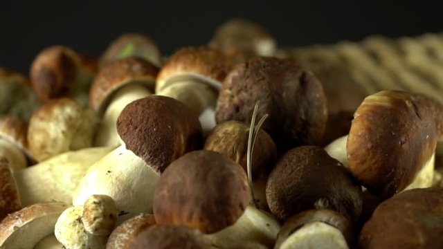 Forest mushrooms. Cepes. Natural product. Delicacy Rotation. Slow-motion shot.