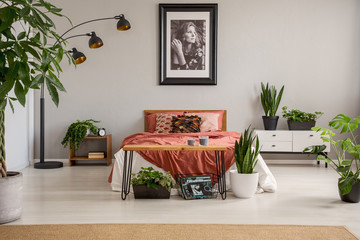 Poster above red bed with blanket in grey bedroom interior with plants and carpet. Real photo
