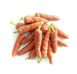 Fresh long pepper or Indian long pepper on white background, spices and herbs