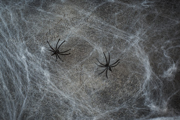 Halloween concept, a dark background old wall with cobwebs, greeting card background
