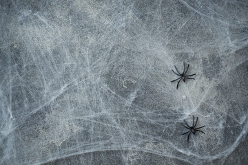 Halloween concept, a dark background old wall with cobwebs, greeting card background