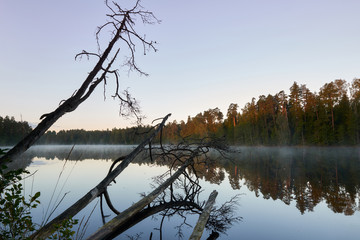 Sunshine over a lake in the background of the forest. Autumn sunrise in Lithuania.