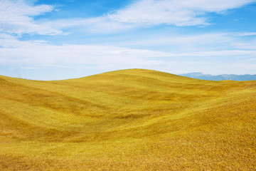 Fototapeta na wymiar Autumn landscape. Yellow field meadow and blue sky