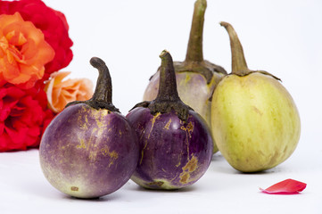Round eggplant