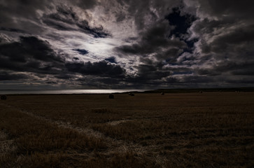 Fototapeta premium the color of the night